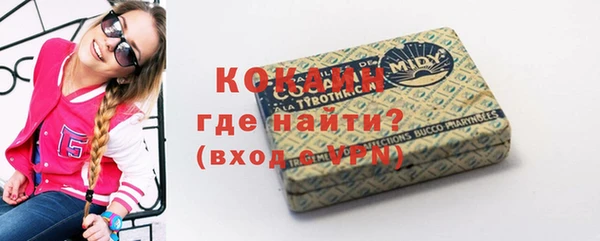 дживик Новодвинск