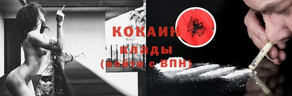 дживик Новодвинск