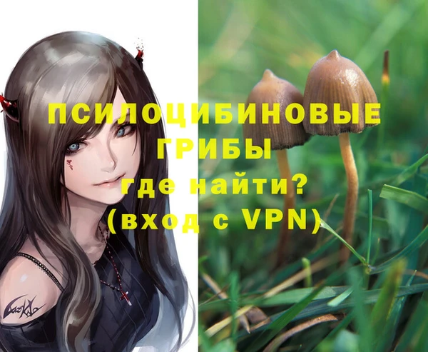 винт Нея