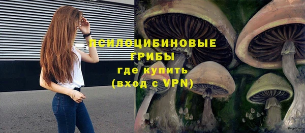 винт Нея
