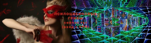 ешки Нефтекумск