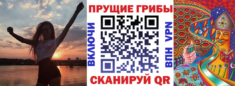 Галлюциногенные грибы Psilocybe  Поронайск 